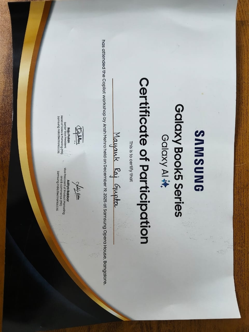 Co-pilot Workshop certificate from Samsung Opera House, Bangalore